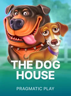 play dog house game at 1win casino